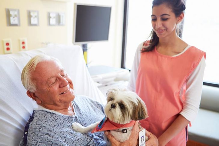 Pets at Adult Family Homes