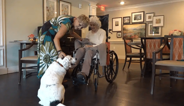 Are Pets Allowed at Adult Family Homes?